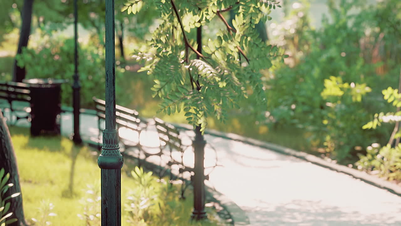 평화로운 초록색 도시 공원을 가로질러 휘어지는 돌길의 경치 좋은 전망