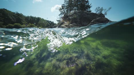 水上和水下的峡湾分开的视图