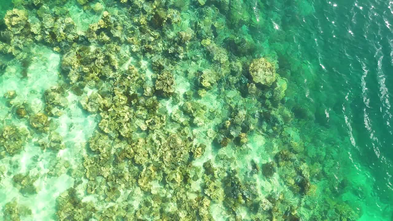 Ripresa aerea dall'alto con drone che cattura vivaci formazioni coralline attraverso le acque cristalline turchesi dell'oceano tropicale.