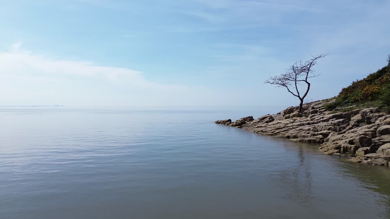 Rocky slope with weathered tree aerial view with calming tide and blue sky in dreamlike harmony