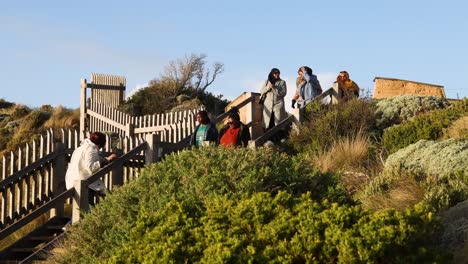 grupo de turistas disfrutando de la vista panorámica