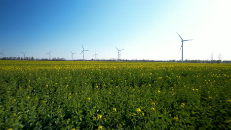 Windturbinen-Drehen-Sich-Im-Rapsfeld-Und-Erzeugen-Eine-Faszinierende-Luftaufnahme