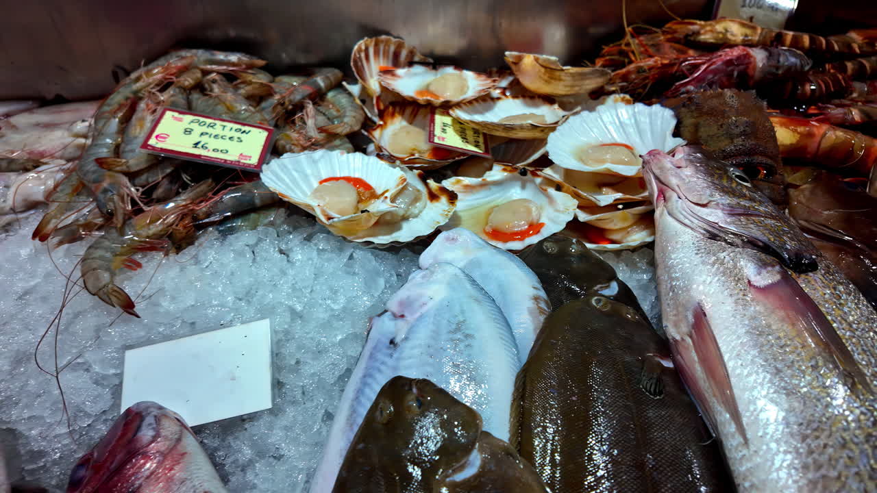 Fresh seafood display featuring fish, shrimp, scallops, and squid on ice at a market