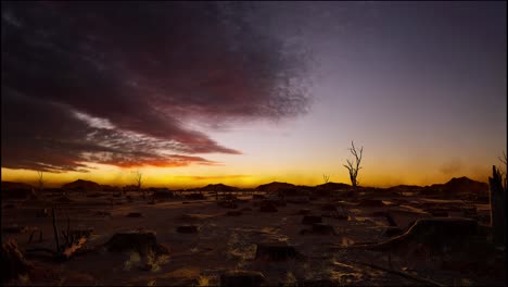 troncos de árboles dejados después de la deforestación, hora de la puesta del sol