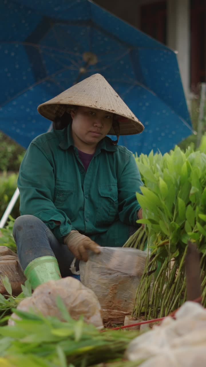 Woman Planting Seedlings in Rural Setting