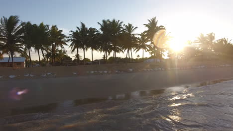 Kokospalmen-Am-Strand-Während-Einer-Luftaufnahme-Von-Kourou-Guayana-Bei-Sonnenuntergang