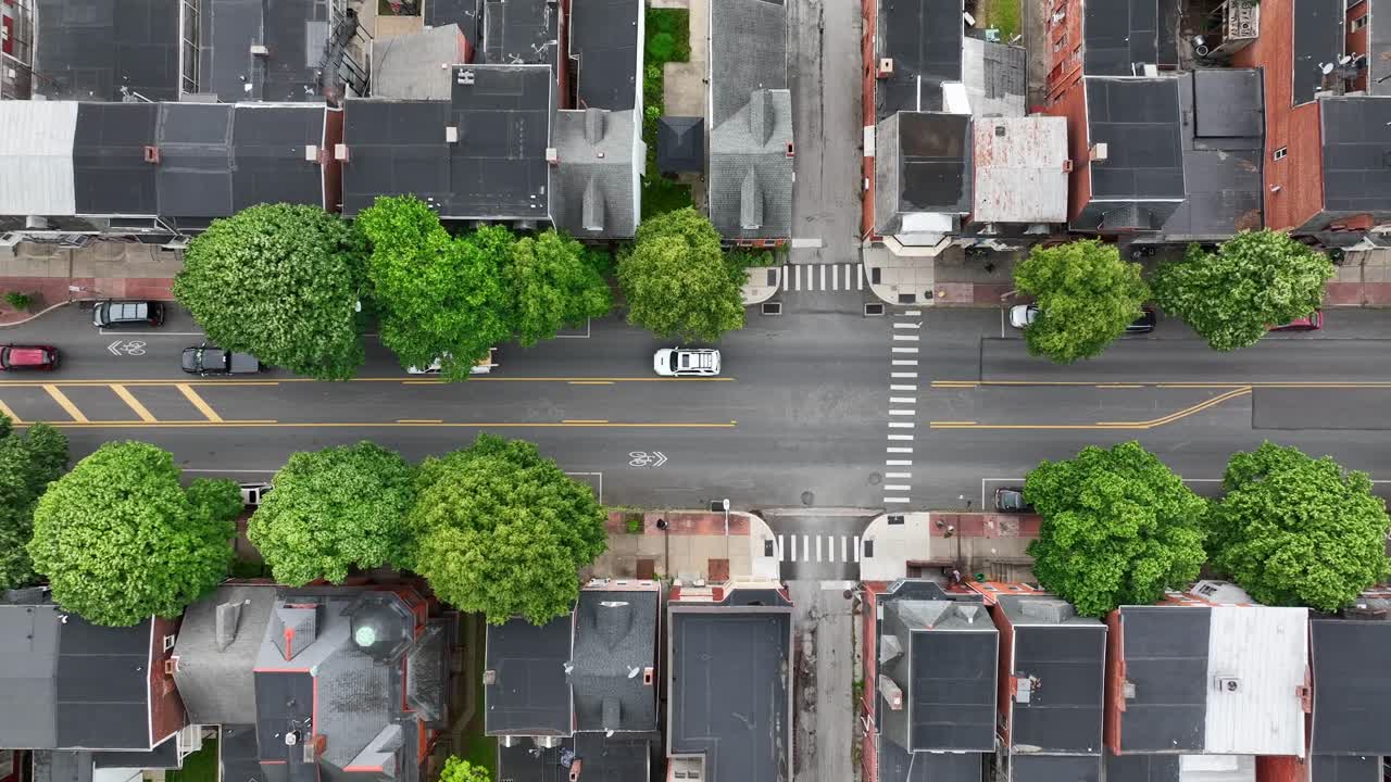 Traffico sulla strada di un quartiere americano con alberi verdi