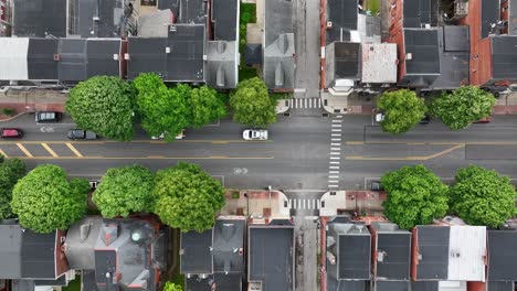 Verkehr-Auf-Der-Straße-Eines-Amerikanischen-Viertels-Mit-Grünen-Bäumen