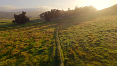 Low-aerial-flight-over-grass-pasture-in-golden-evening-light-in-California-countryside