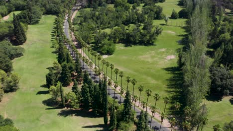 long curve of road surrounded by palm trees in green environment