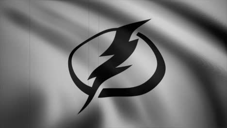 the flash logo on a wavy flag
