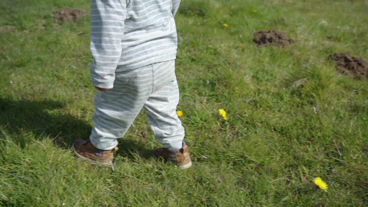 niño pequeño camina sobre hierba corta en el campo a través de flores amarillas