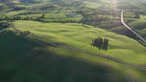 drone shot at sunset of the famous cypresses from val d'orcia in tuscany, italy