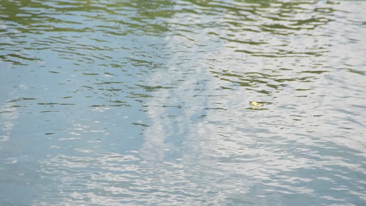 池