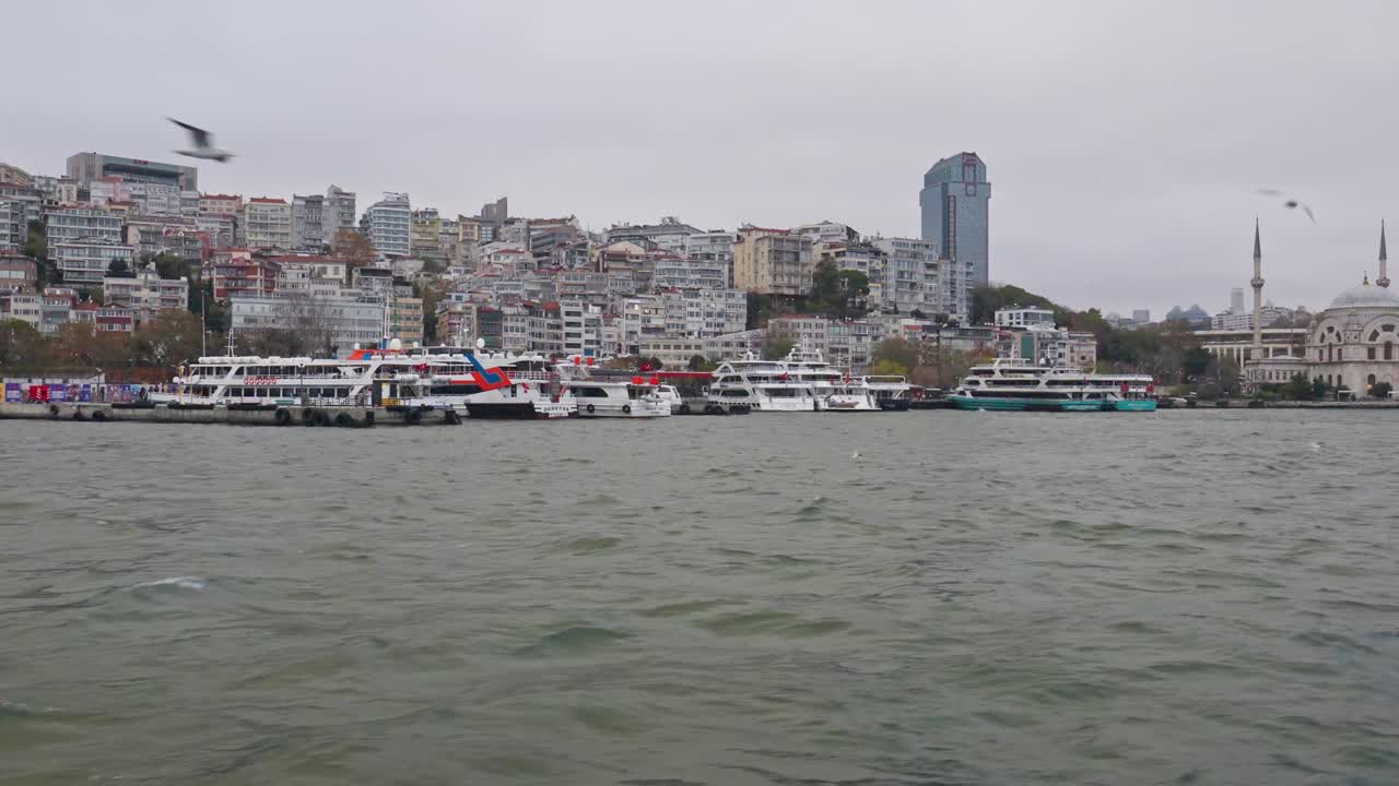 Istanbul city view with birds from the river recorded by a Sony A7IV mirrorless camera with a 16-35 f2.8 GM lens.