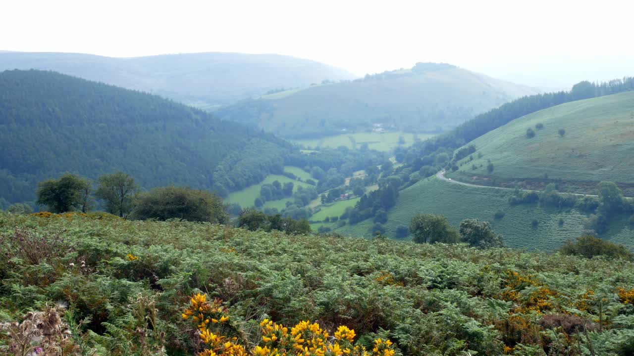 mañana brumosa vista del paisaje del valle de la montaña a través de la campiña rural escénica senderismo lento dolly derecha