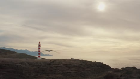 toma de un faro con un dron con una gaviota volando en primer plano