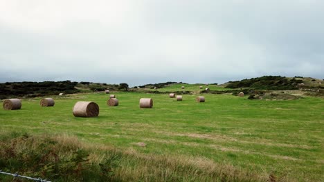 countryside pasture with rolled straw hay bale in open overcast british farmland