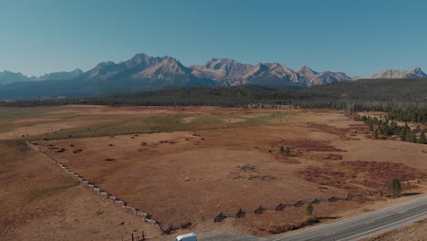 4K-Drone-fly-over-cows,-road-and-country-field-in-the-Sawtooth-Mountains,-Stanley-Idaho