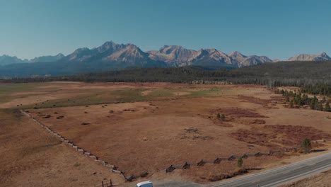 4k drone vuela sobre vacas, carreteras y campo rural en las montañas de dientes de sierra, stanley idaho