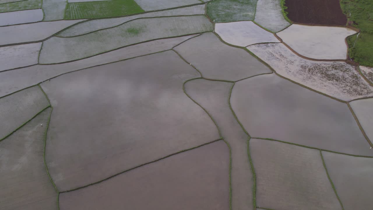 campos de arroz vacíos con el reflejo de las nubes en el agua en la isla de sumba, aérea