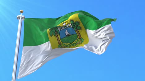 bandera del estado de rio grande do norte, brasil