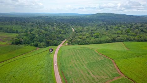 Luftaufnahme-Der-Straße-Durch-Zuckerrohrplantage-Und-Mabira-Wald-In-Uganda