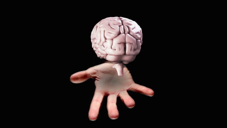 Hand-presenting-a-spinning-brain-