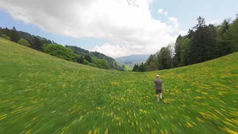 walking man downhill green mountain of swiss alps in summer. fpv passing drone shot into valley. forest trees with green leaves.