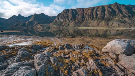 Rocky-shores-exposed-by-the-low-tide-are-covered-with-seaweed-and-kelp