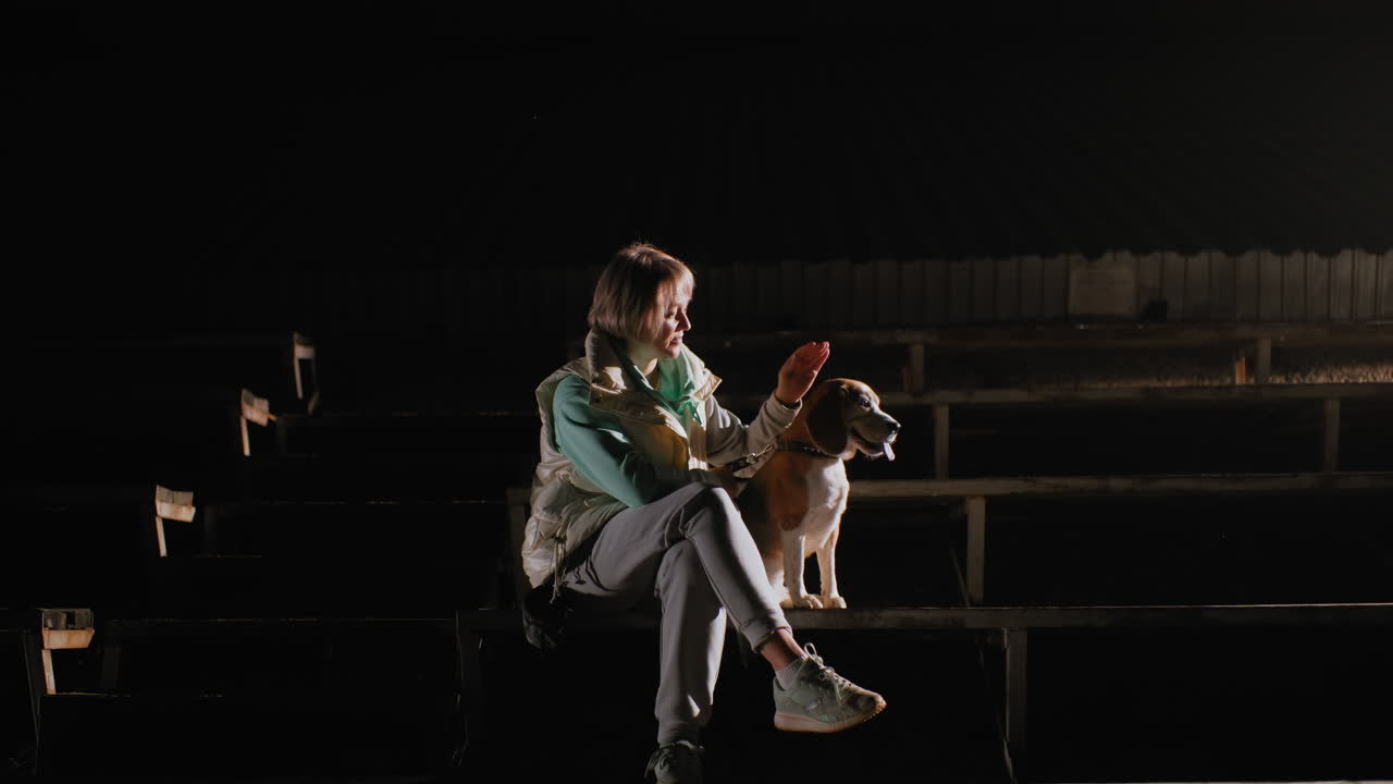 Canine specialist seated on staircase at night touching ears of beagle dog playfully as bright spotlight illuminates surroundings creating calm bonding moment under empty dark stadium setting