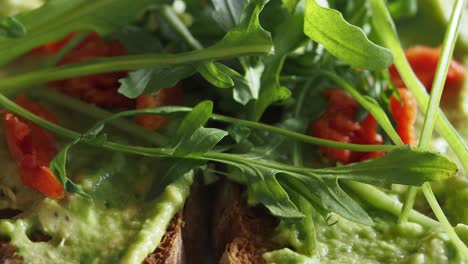 avocado toast with arugula and dried tomatoes