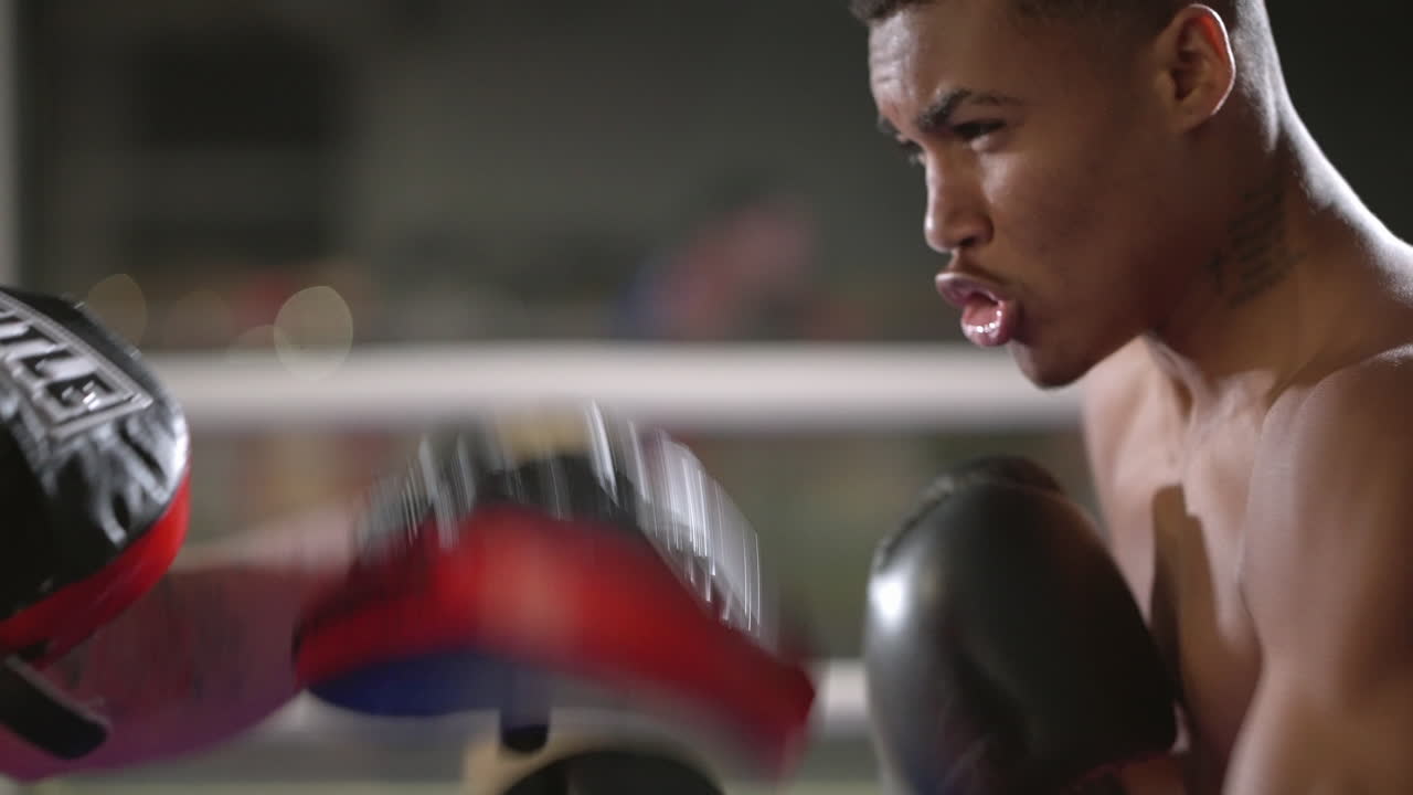 권투 훈련 세션