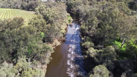 Motorboot-Rast-Den-Swan-River-Im-Swan-Valley-Hinunter