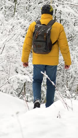 person walking in the forest