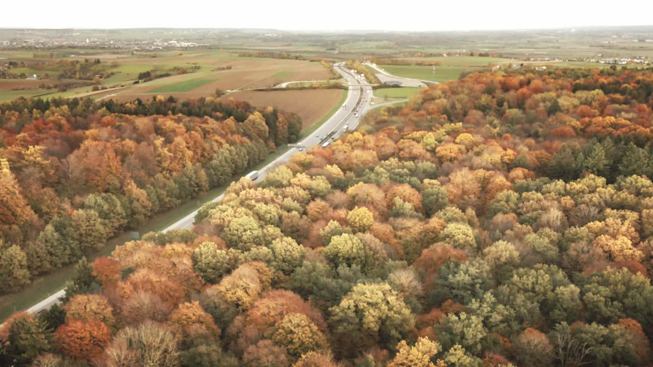 Camera rises upward while tilting down, capturing bands of golden foliage, winding roads, and distant fields in a vibrant fall landscape