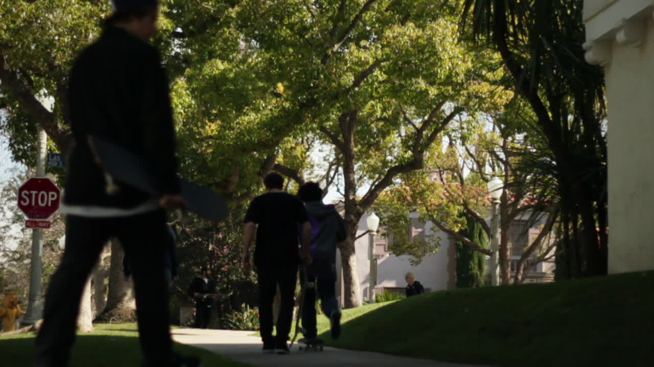 Skateboarder gliding on a sunny sidewalk under leafy trees in a residential area