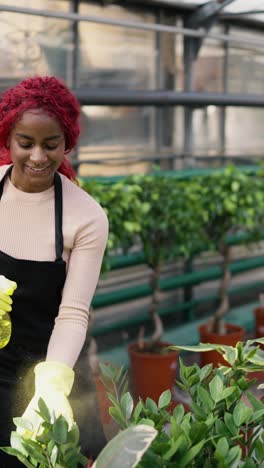 woman spraying plants in a greenhouse