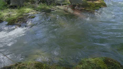 Quellwasser-Nahaufnahme-Zeitraffer-Strom