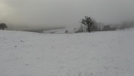 snowy field in the wintery countryside of france
