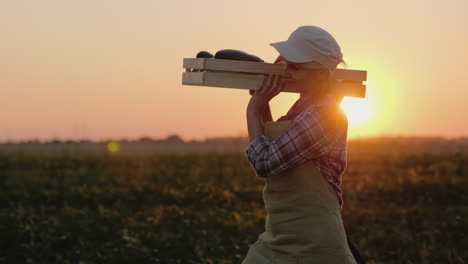 Mujer-Agricultora-Lleva-Una-Caja-Con-Verduras-En-El-Campo-Al-Atardecer-Video-4k