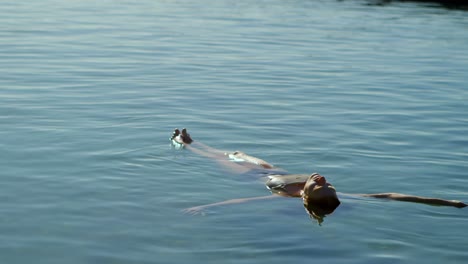 Woman-swimming-in-the-water-at-beach-4k