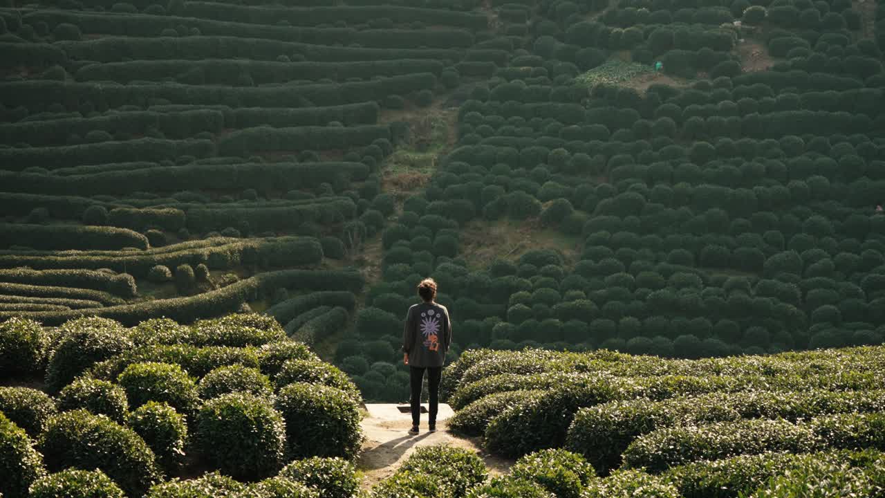 Un uomo si erge di fronte alle vaste terrazze di tè Longjing a Hangzhou, nella provincia di Zhejiang.
