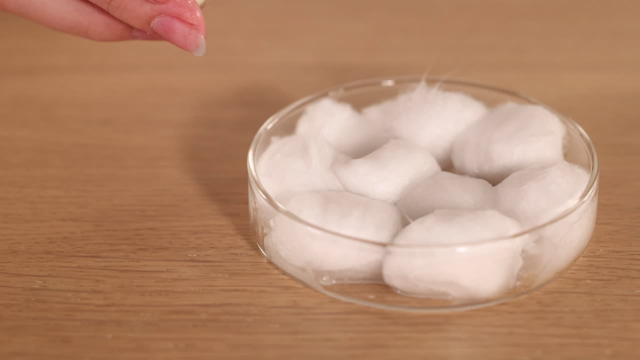 A hand places seeds on cotton wool in a dish, adding water for germination under bright lighting