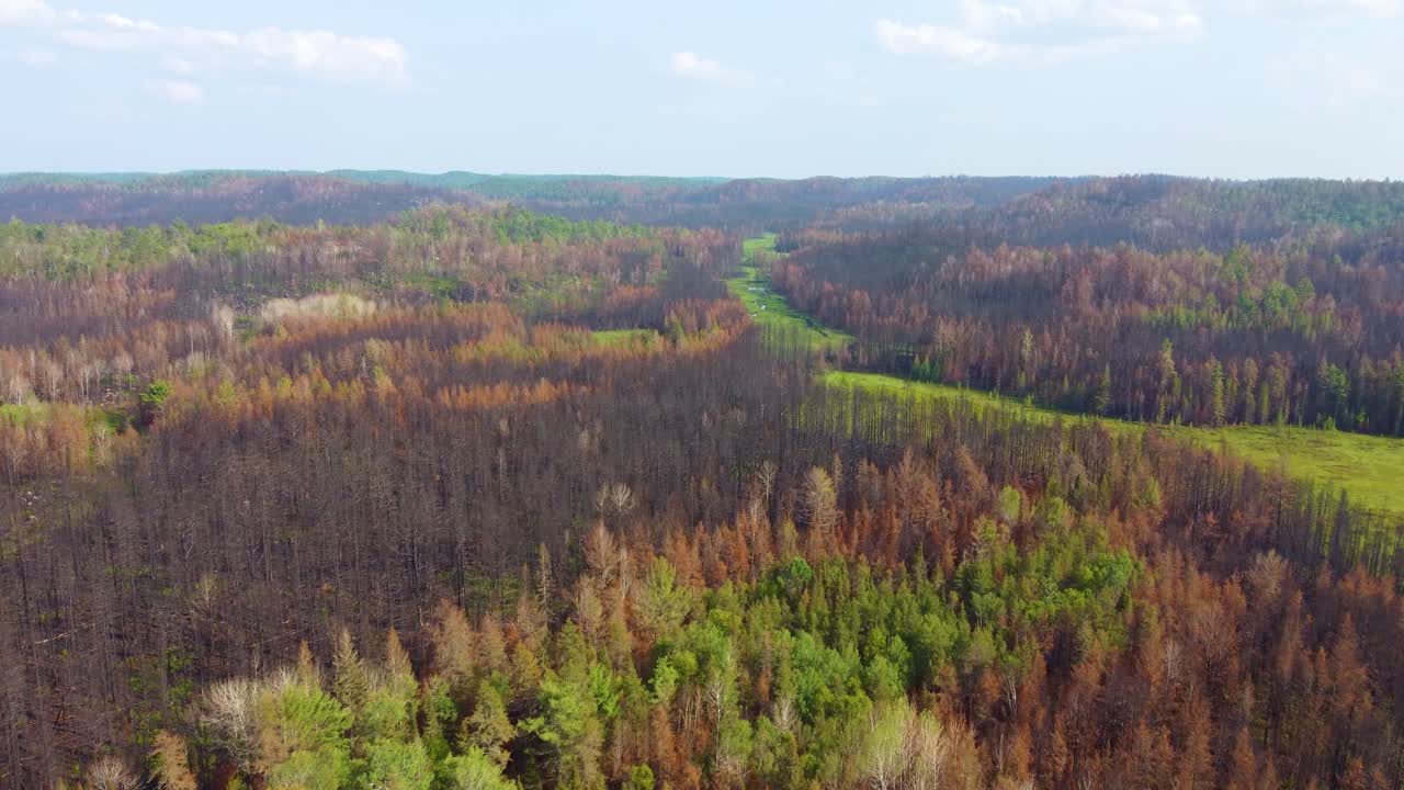 vista aérea de los incendios forestales quemados y el follaje de otoño a lo largo de los prados verdes, toronto, canadá