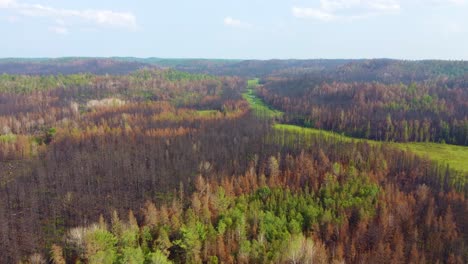 aerial view of wildfire burned forest and fall foliage along green meadows, toronto, canada