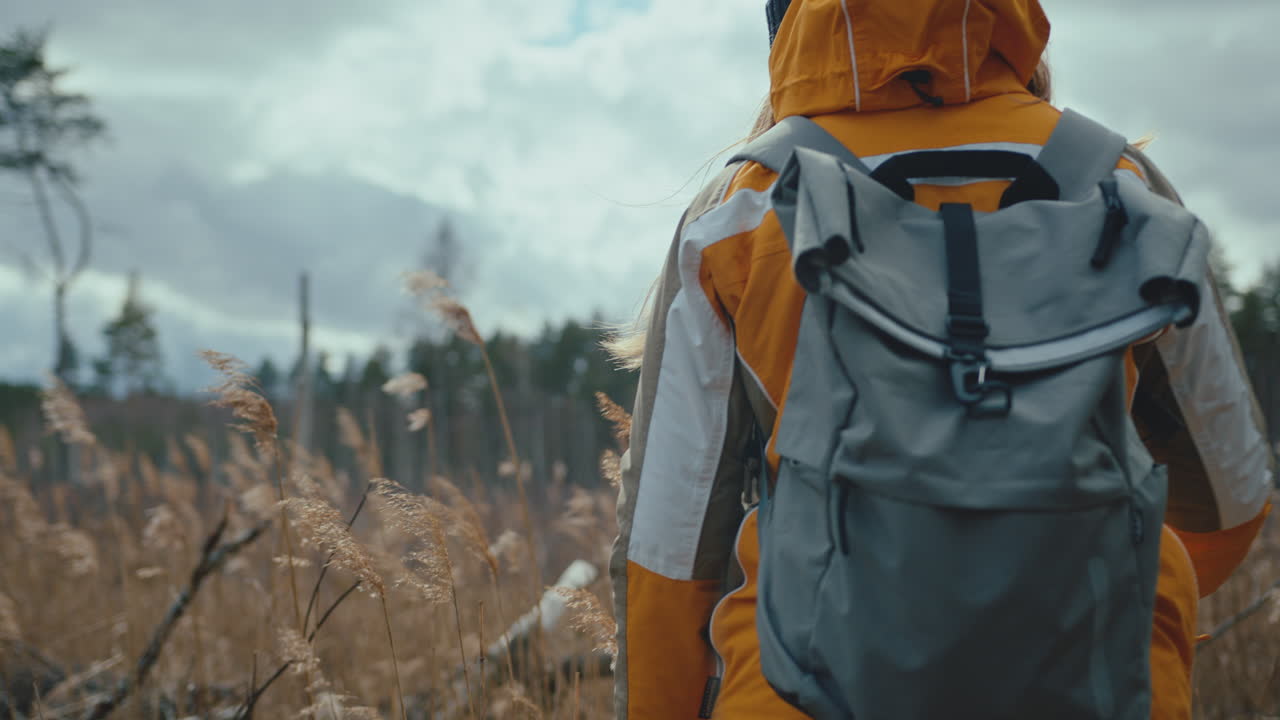 eine wanderin hält an einem kalten, windigen herbsttag auf einer wiese mit hohem gras an, während sie in der natur spaziert
