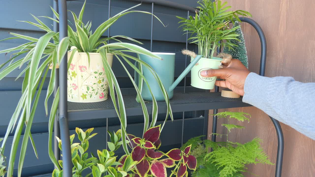 선반 에 식물 을 배열 하는 사람