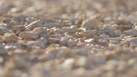 sun changing on stones. 4k resolution