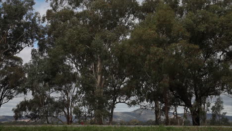 grandes camiones industriales circulando a lo largo de una carretera principal en australia